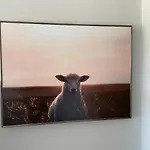 Apartmán Strandnest Wyk auf Föhr